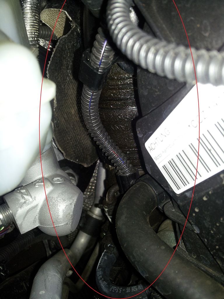 Mysterious oil leak on mk6 GTi